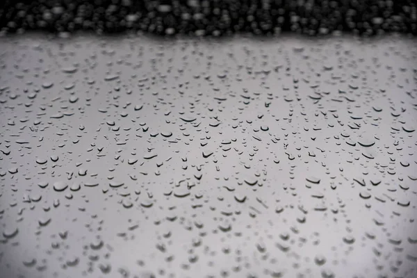 Bahçede su banyosu, temiz su, en iyi atış.