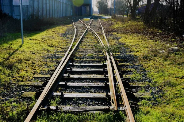 Pěkné Zázemí Zelených Stromů Železniční Tratí — Stock fotografie