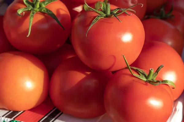 Greenhouse tomatoes with pedunclesof 2021 harvest, with stalks in market counter. Vegetables background texture. Advertisement backdrop