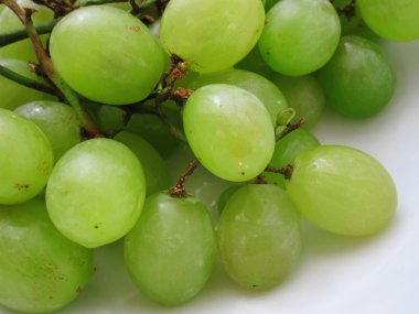 Yeşil Üzümler