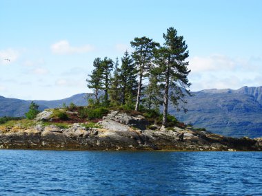 İskoçya'da ağaçlar ile ada