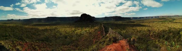 Vue Imprenable Sur Cerrado Parc National Brésilien — Photo