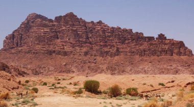 Dağlık çöl manzarası ön planda develer besleniyor.