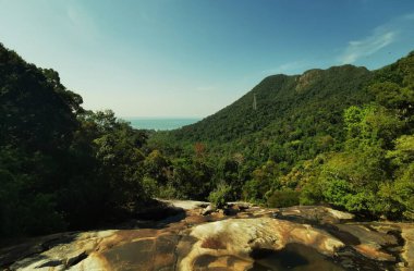Dağ yamacını kaplayan tropikal ormanın güzel manzarası ve ön planda pürüzsüz kayalar var.