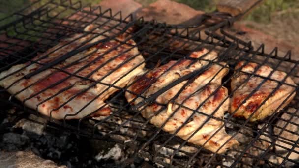 Steak of turkey breast on the grill — Stock Video