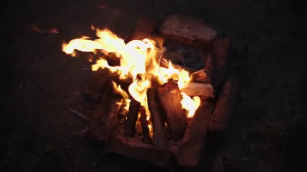 Lagerfeuer wird am Abend entzündet — Stockvideo