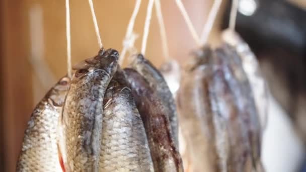 Salted fish hanging dried — Stock Video