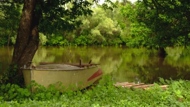 Bateau amarré sur les rives de la rivière — Video