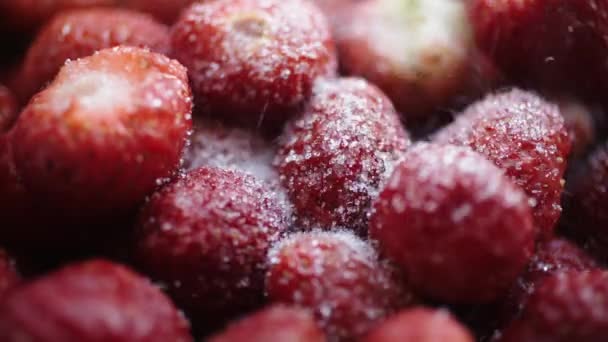 Erdbeeren mit Zucker — Stockvideo