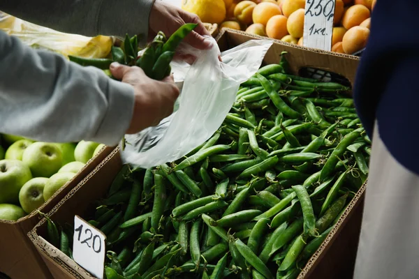 The female lays pea pods in a package — Stock Photo, Image