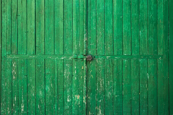 Ancienne porte en bois verte — Photo