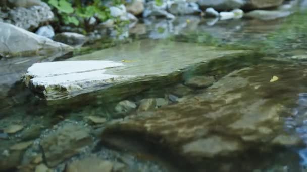A hegyi folyó vizek a kövek — Stock videók