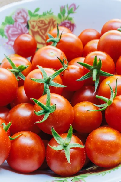Grupa świeżych pomidorów — Zdjęcie stockowe