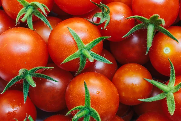 Grupa świeżych pomidorów — Zdjęcie stockowe