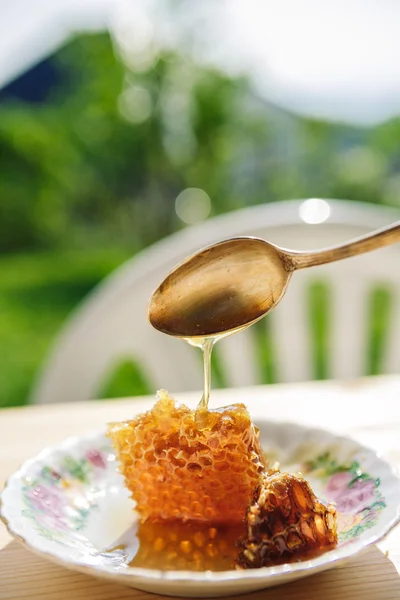 Sweet honeycomb with spoon — Stock Photo, Image