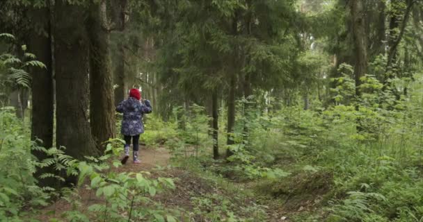 Zadní pohled na holčičku na červeném klobouku kráčející po lesní cestě — Stock video