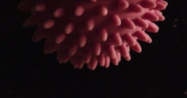 Coronavirus COVID-19 virüsünün en küçük parçacıklara sahip koyu arkaplan üzerindeki gerçekçi görüntüleri.
