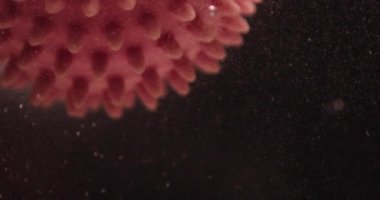 Coronavirus COVID-19 virüsünün en küçük parçacıklara sahip koyu arkaplan üzerindeki gerçekçi görüntüleri.