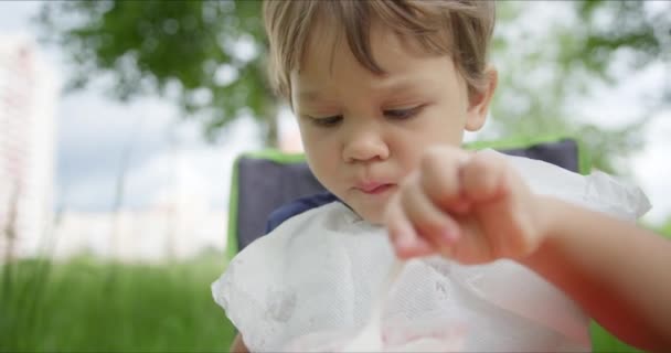 Маленькая девочка ест мороженое в парке — стоковое видео