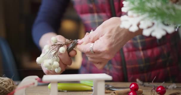 Floristería hace cesta de Navidad con bayas rojas, ramas de abeto y conos de coníferas — Vídeo de stock