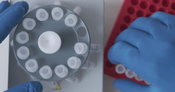 Le technicien charge les échantillons avec l'échantillon dans la centrifugeuse de laboratoire — Video