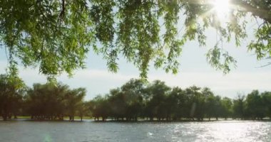 Nehir manzaralı manzara