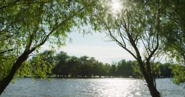 Krajobraz z widokiem na rzekę — Wideo stockowe