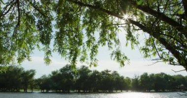 Nehir manzaralı manzara