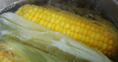 Taze pişmiş mısırın kulakları