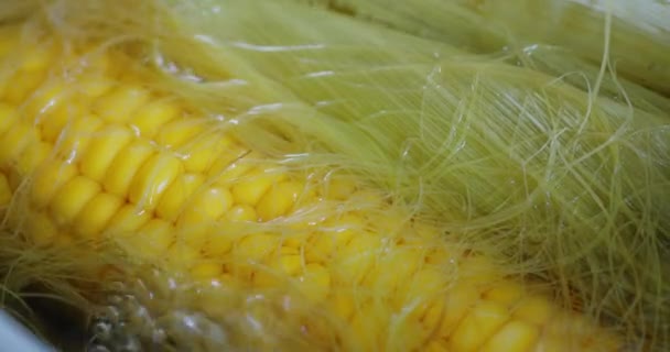 新鲜熟玉米的耳朵特写 — 图库视频影像
