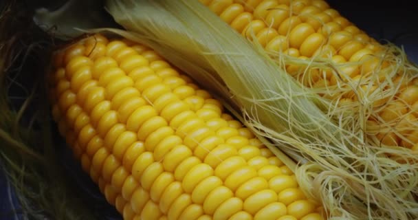 Oren van vers gekookte maïs close-up — Stockvideo