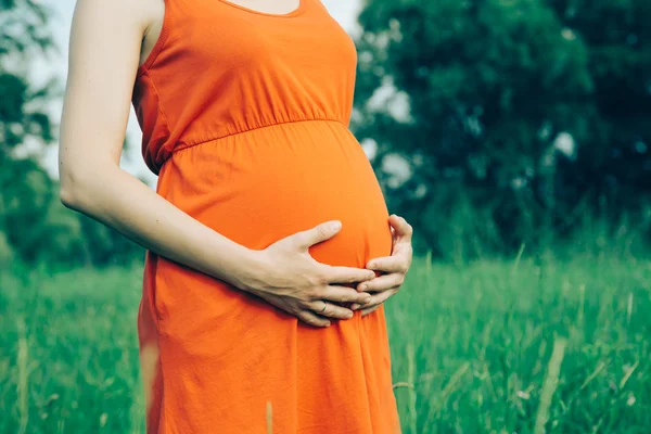 Schwangere hält Strauß Gänseblümchen in den Händen — Stockfoto