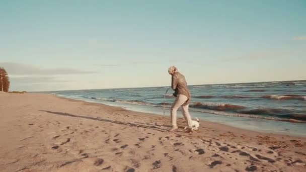 Mulher feliz brincando na praia com o cão — Vídeo de Stock