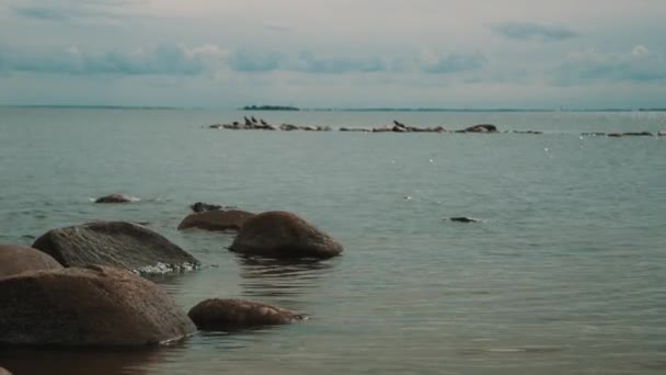 Rocas en la costa del mar — Vídeo de stock