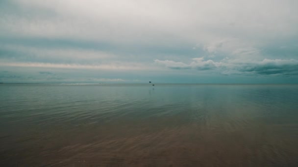 Vögel fliegen über Wasser — Stockvideo