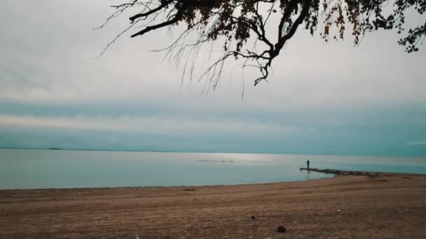 Een eenzame man wandelingen langs het strand — Stockvideo