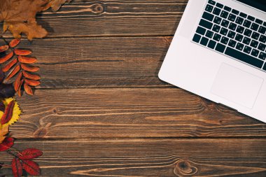 Dizüstü bilgisayar ve sonbahar yaprakları ile arka plan