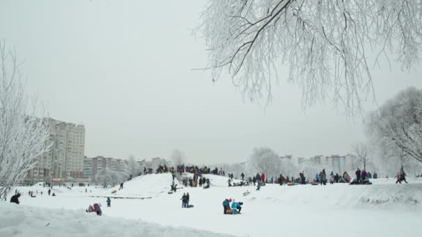 Les enfants descendent une colline de neige dans le parc le week-end — Video