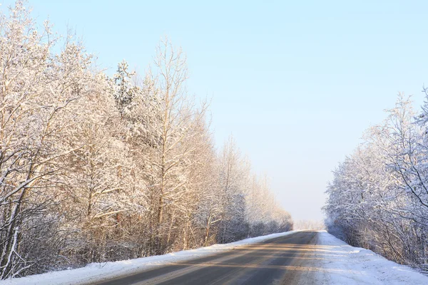 Winter road through snowy forests — Stock Photo, Image