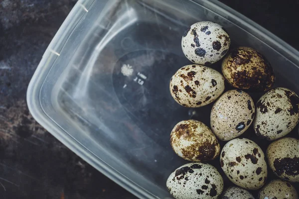 Kwarteleitjes in een plastic kom — Stockfoto