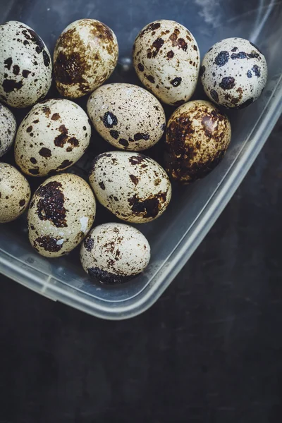 Kwarteleitjes in een plastic kom — Stockfoto