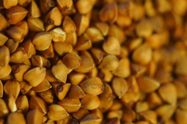 Green tea - leaves in a metal tin.
