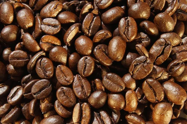 Coffee beans on close-up. Roasted beans of strong natural coffee. Preparing coffee for drinking.