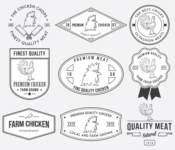 Farm grown chicken meat — Stock Vector