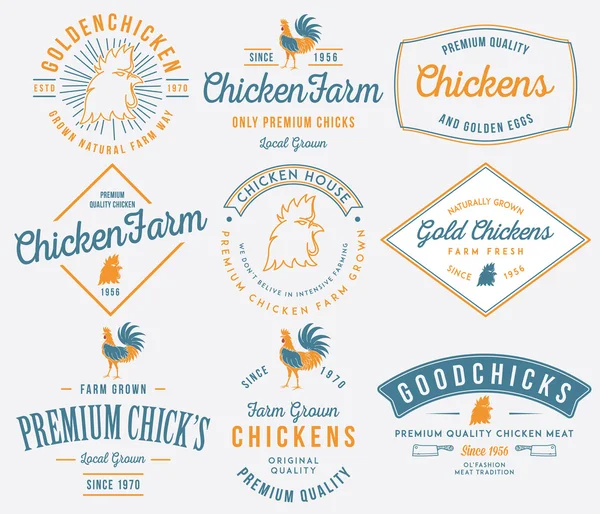 Gospodarstwa uprawianych mięsa kurczaka kolorowe — Wektor stockowy