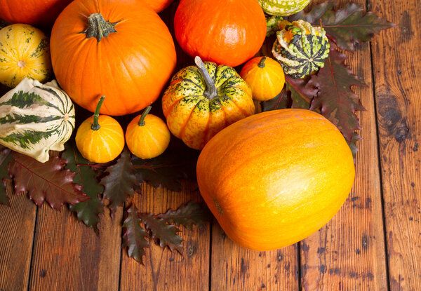 Тыквенная осень
