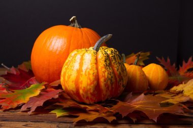 Kabaklar siyah backgraund üzerinde