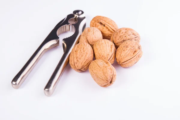 Walnuts — Stock Photo, Image