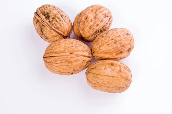 Walnuts on a white background — Stock Photo, Image