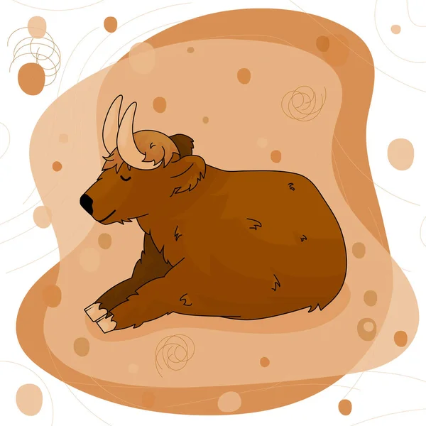 Cute Cartoon Bull High Land Cow Lying Ground Pink Brown — Stock Vector